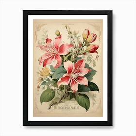 Spring Floral French Poster Honeysuckle Art Print 1 Art Print