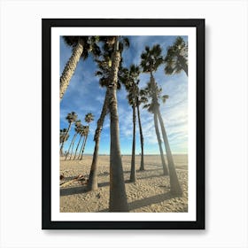 Palm Trees On The Beach Art Print