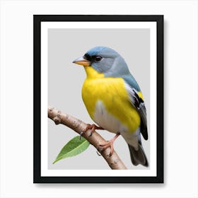 Yellow Warbler Art Print