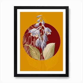 Vintage Botanical Blue Daylily Hemerocallis caerulea on Circle Red on Yellow n.0083 Art Print