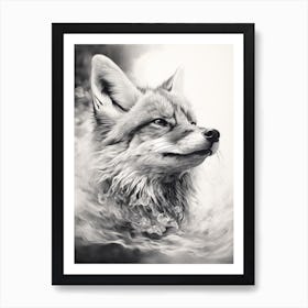 Tibetan Sand Fox Finds Water Pencil Drawing 1 Art Print