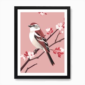 Minimalist House Sparrow 1 Illustration Art Print