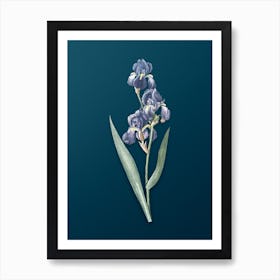 Vintage Dalmatian Iris Botanical Art on Teal Blue n.0765 Art Print