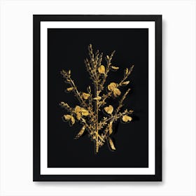Vintage Yellow Broom Flowers Botanical in Gold on Black n.0305 Art Print
