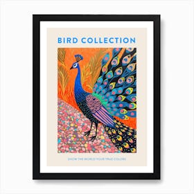 Peacock Feather Patterns Poster Art Print