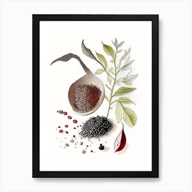 Black Pepper Spices And Herbs Pencil Illustration 2 Art Print