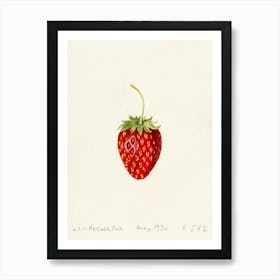 Strawberry 6 Art Print