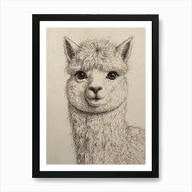 Alpaca Art Print