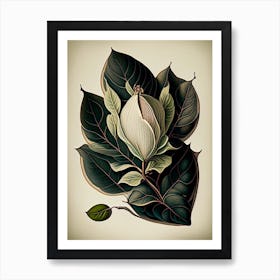 Magnolia Leaf Vintage Botanical 1 Art Print