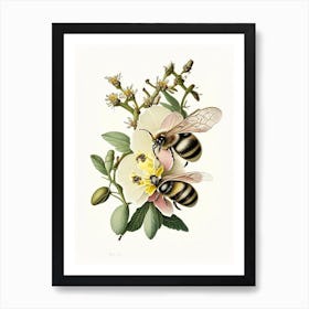 Pollination Bees 2 Vintage Art Print