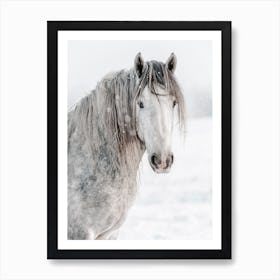 Gray Winter Horse Art Print