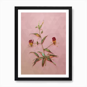 Vintage Flame Lily Botanical Art on Crystal Rose n.0599 Art Print