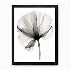 X Ray Flower 1 Art Print