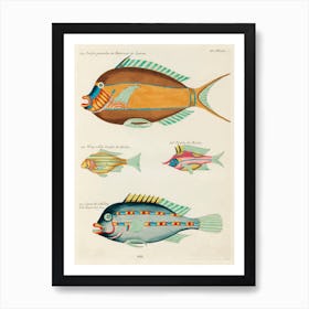 Colourful And Surreal Illustrations Of Fishes Found In Moluccas (Indonesia) And The East Indies, Louis Renard(40) Art Print