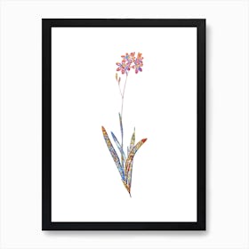 Stained Glass Corn Lily Mosaic Botanical Illustration on White n.0355 Art Print