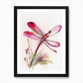 Smoky Rubyspot Dragonfly Watercolour Ink Pencil 1 Art Print