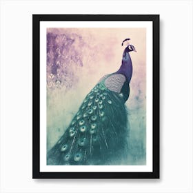 Turquoise Purple Vintage Photo Of A Peacock Art Print