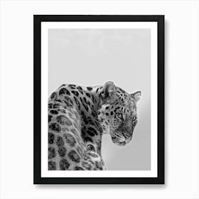 Tiger Black And White Art Print