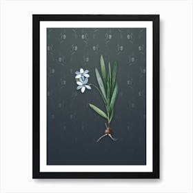 Vintage Gladiolus Plicatus Botanical on Slate Gray Pattern n.0465 Art Print