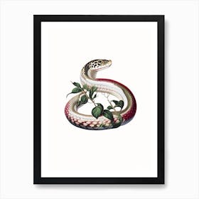 Queen Snake 1 Vintage Art Print