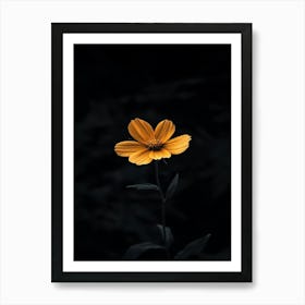 Single Yellow Flower 34 Art Print