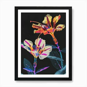 Neon Flowers On Black Portulaca 3 Art Print