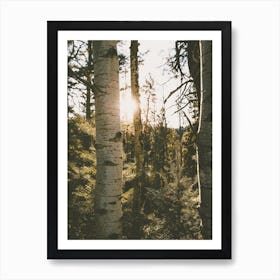 Nature Forest Scenery Art Print
