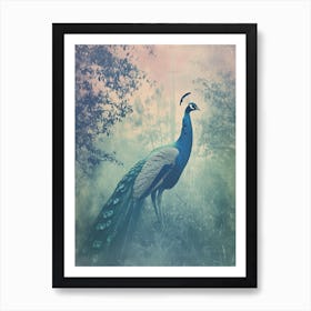 Turquoise Cyanotype Inspired Peacock In The Grass 2 Art Print