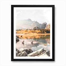 Ducks In A Lake, Italian Alps Art Print