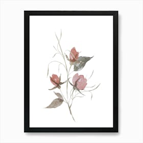 Pink Roses 2 Art Print