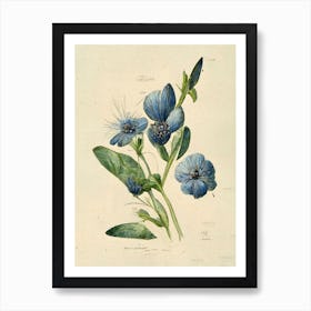 Blue Flowers Botanical Vintage Farmhouse Art Print