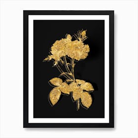 Vintage Damask Rose Botanical in Gold on Black n.0148 Art Print