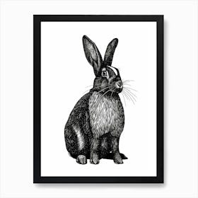 Harlequin Blockprint Rabbit Illustration 2 Art Print