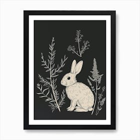Mini Sable Rabbit Minimal Illustration 3 Art Print