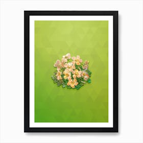 Vintage Piotta's Oxalis Flower Botanical Art on Love Bird Green n.0802 Art Print