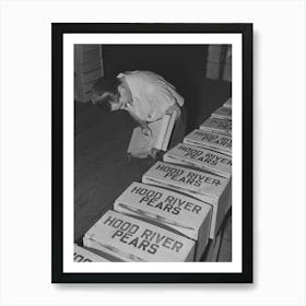 Checking Crates Of Pears Ready For Shipment To The Markets, Hood River, Oregon By Russell Lee Art Print