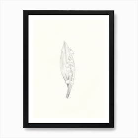 Lily Of The Valley Ink Drawing Art Print