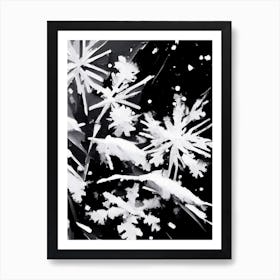 Fragile, Snowflakes, Black & White 4 Poster