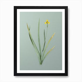 Vintage Iris Martinicensis Botanical Art on Mint Green n.0164 Art Print