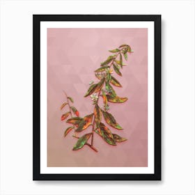Vintage Goji Berry Tree Botanical Art on Crystal Rose n.1050 Art Print