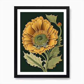 Calendula Leaf Vintage Botanical 1 Art Print