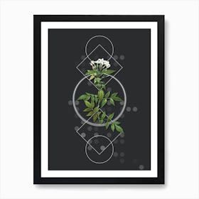 Vintage Jasmin Officinale Flower Botanical with Geometric Line Motif and Dot Pattern Art Print