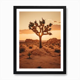 Photograph Of A Joshua Tree At Dusk In Desert 3 Art Print