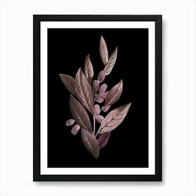 Hibiscus 19 Art Print