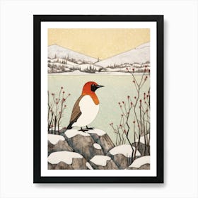 Bird Illustration Canvasback 3 Art Print