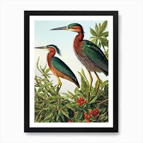 Green Heron Haeckel Style Vintage Illustration Bird Art Print