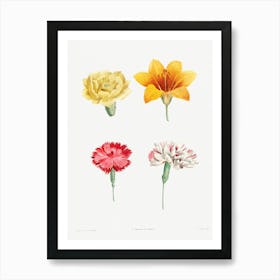 Flower set from La Botanique de J. J. Rousseau, Pierre Joseph Redoute Art Print