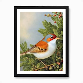 European Robin 2 Haeckel Style Vintage Illustration Bird Art Print