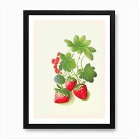 Alpine Strawberries, Plant, Retro Drawing Art Print