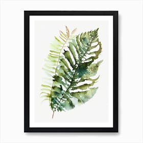 Chinese Brake Fern Watercolour Art Print